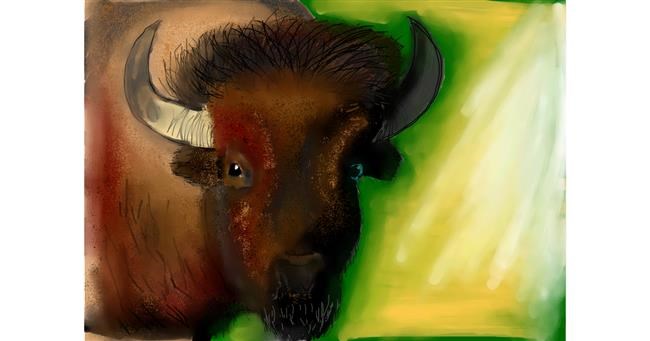 Drawing of Bison by Pam