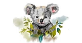 Koala - autor: Ryōmen