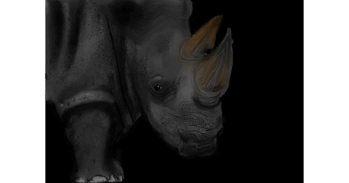 Drawing of Rhino by Pam