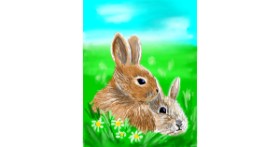 Drawing of Bunny by ⋆su⋆vinci彡