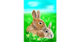 Drawing of Bunny by Vinci