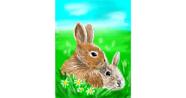 Drawing of Bunny by ⋆su⋆vinci彡