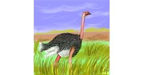 Drawing of Ostrich by Keke •_•