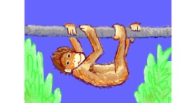 Drawing of Monkey by smackerel