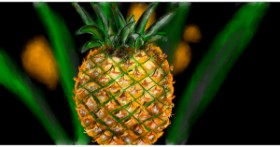 Drawing of Pineapple by Eclat de Lune