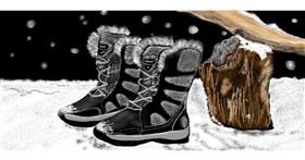 Čizme - autor: Chaching