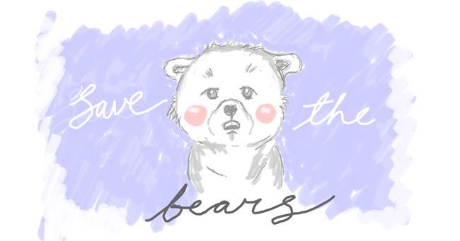 Drawing of Bear by potter