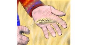 Drawing of Wheat by Wizard