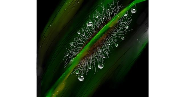 Drawing of Caterpillar by Dexl