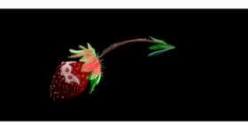 Drawing of Strawberry by Çhåching