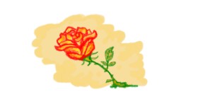 Drawing of Rose by hahah