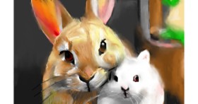 Drawing of Bunny by Herbert