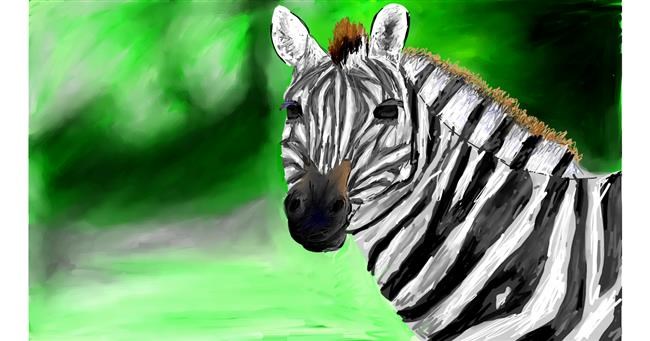 Drawing of Zebra by Mia