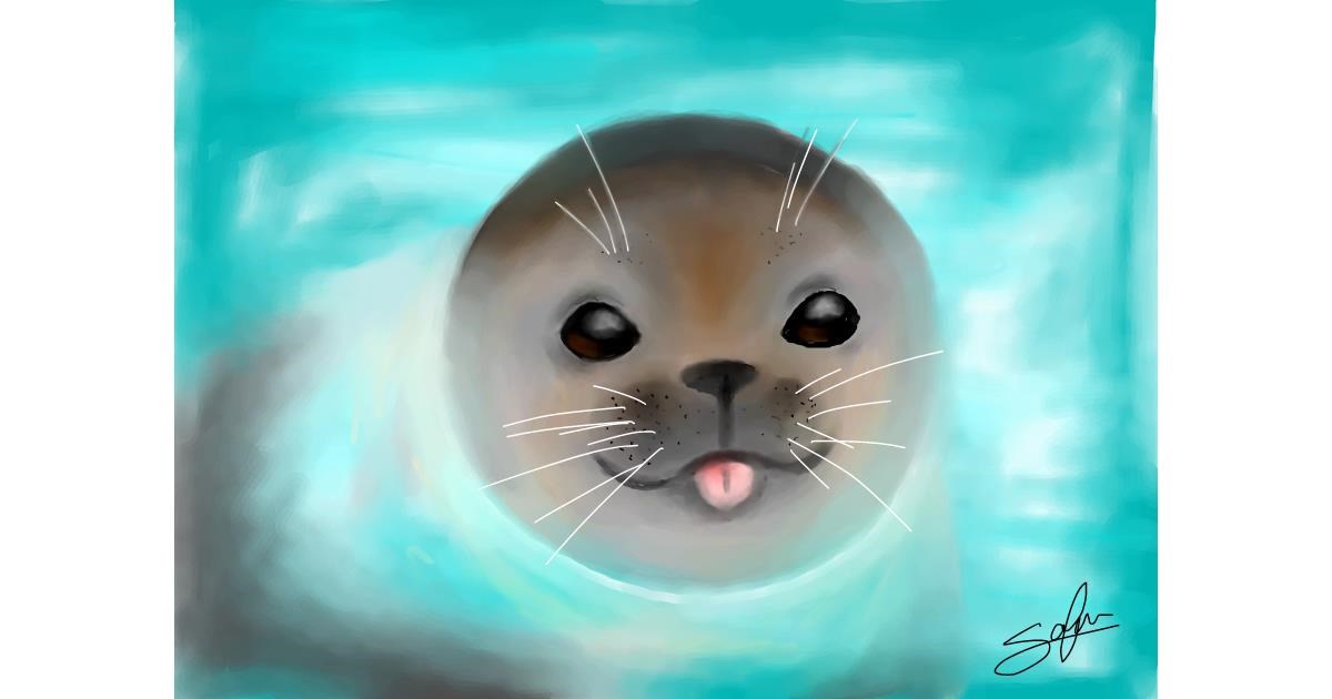Drawing of Seal by Sophie_draw24