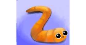 Drawing of Worm by NashNash😎