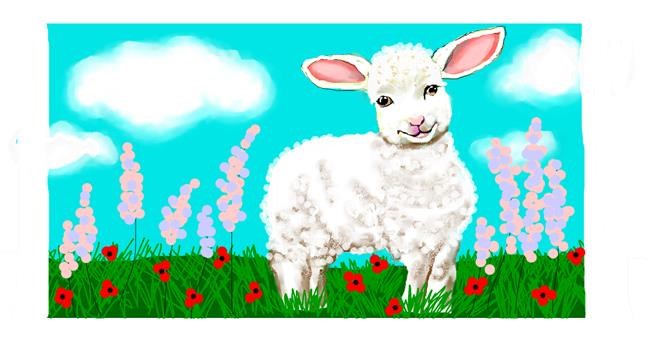 Drawing of Sheep by DebbyLee