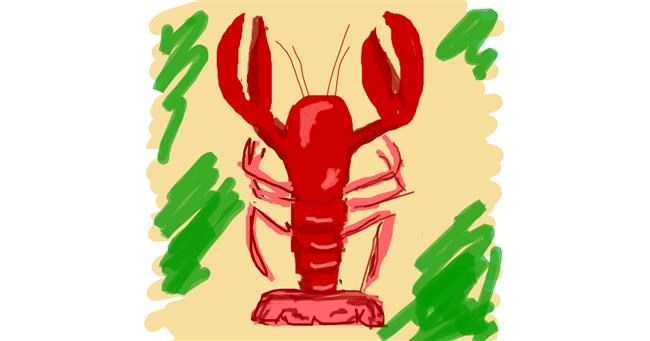 Drawing of Lobster by Nici