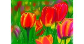 Drawing of Tulips by Pam