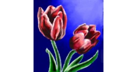 Drawing of Tulips by 👽mint