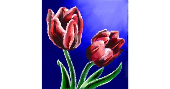 Drawing of Tulips by 👽mint