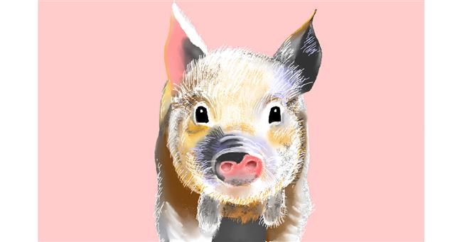Drawing of Pig by GJP
