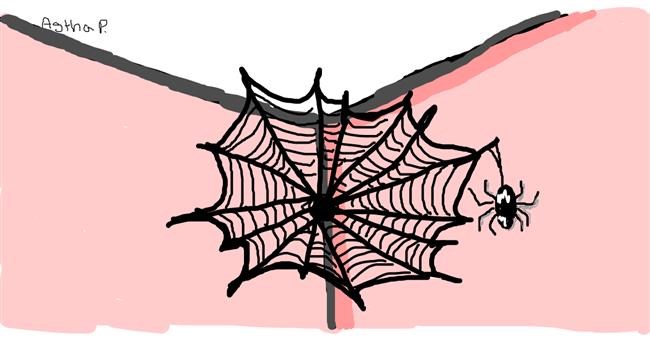 Drawing of Spider web by Astha