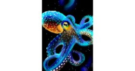 Drawing of Octopus by ⋆su⋆vinci彡
