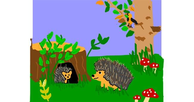 Drawing of Hedgehog by MaRi