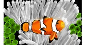 Clownfish-Zeichnung von SAM AKA MARGARET 🙄