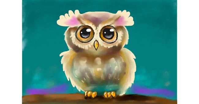 Drawing of Owl by neko