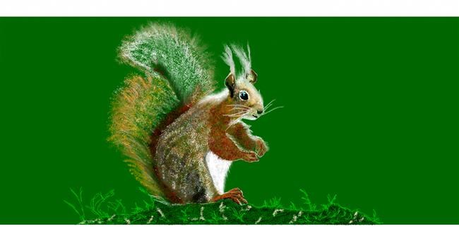 Drawing of Squirrel by Chaching
