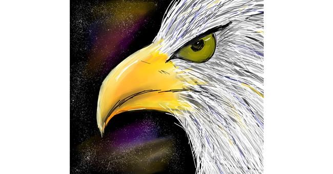 Drawing of Eagle by Zeemal