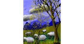 Drawing of Sheep by Leah