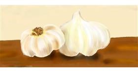 Drawing of Garlic by Kim