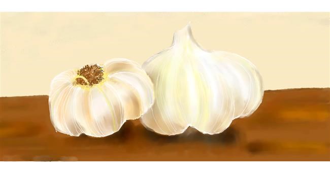 Drawing of Garlic by Kim