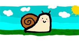 Drawing of Snail by Alison