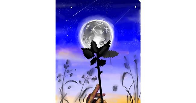 Drawing of Moon by Rose rocket