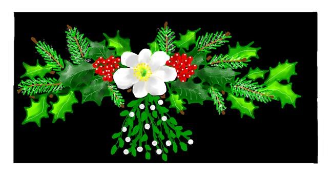 Drawing of Mistletoe by Debidolittle
