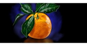 Drawing of Orange by Çhåching