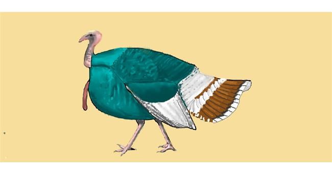 Drawing of Turkey by Pinky