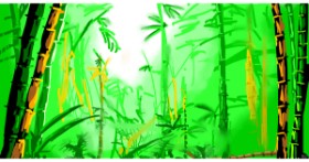 Drawing of Forest by Swimmer