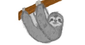 Drawing of Sloth by Kat