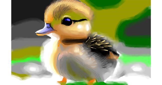 Drawing of Duck by Herbert