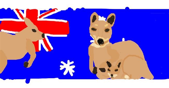 Drawing of Kangaroo by Emmaisnotintresetedand