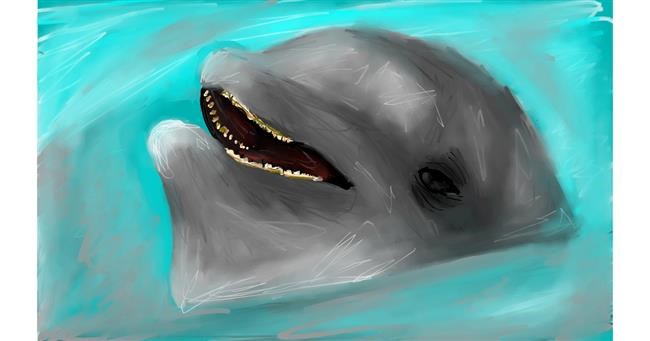 Drawing of Dolphin by Mia