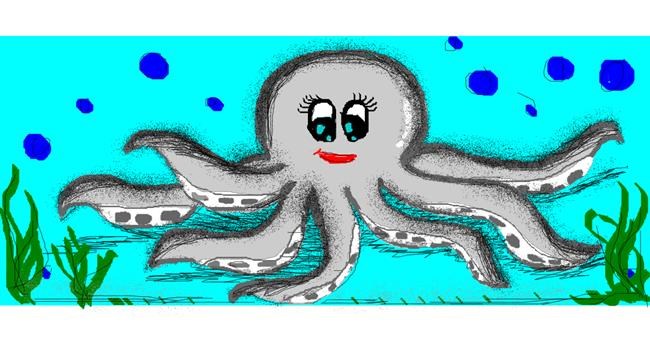 Drawing of Octopus by Angelica