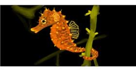 Drawing of Seahorse by shiNIN