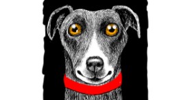 Drawing of Dog by Jjj player