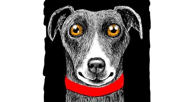 Drawing of Dog by Jjj player