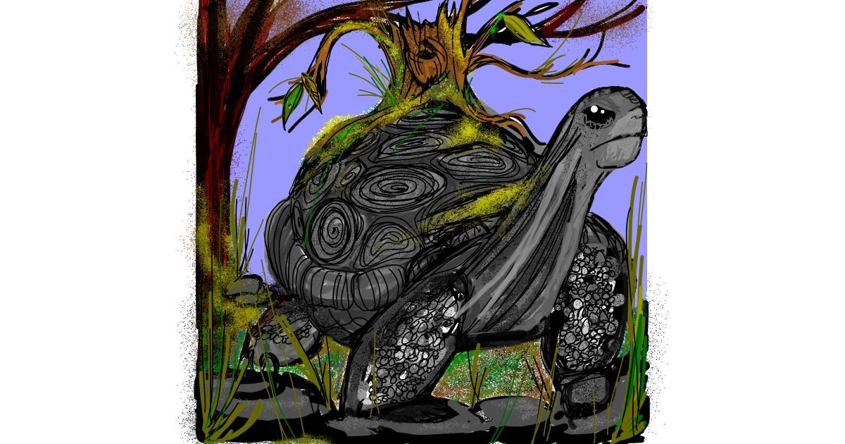 Drawing of Tortoise by SIREN